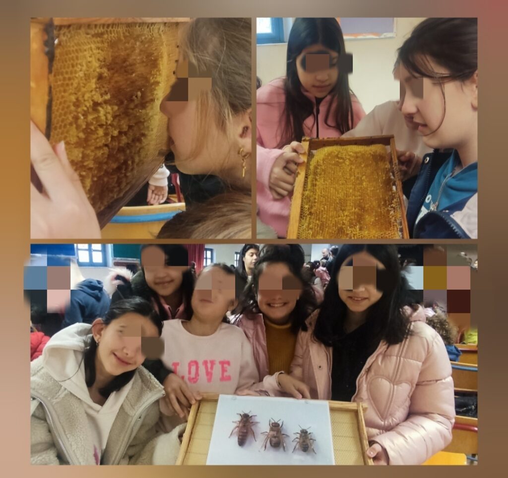 Αυτή η εικόνα δεν έχει ιδιότητα alt. Το όνομα του αρχείου είναι IMG_20250212_235518-1024x962.jpg